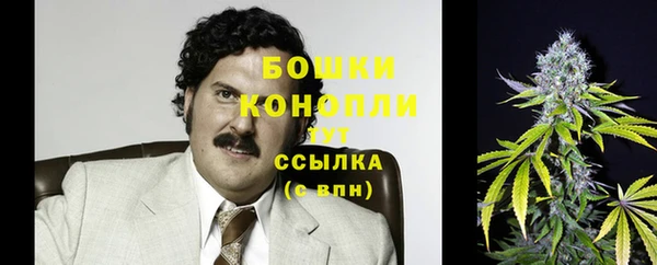 крисы Володарск
