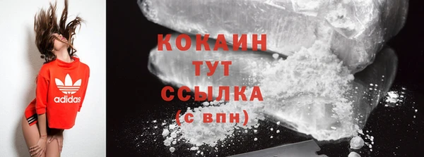 индика Вязники