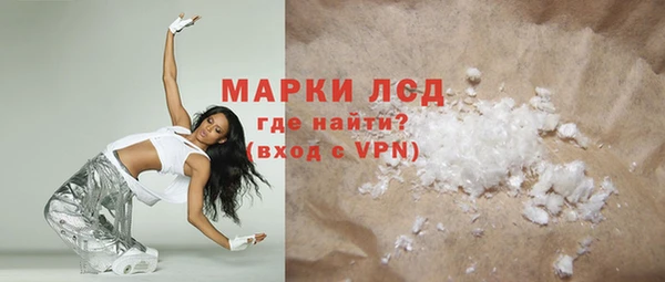 индика Сосновый Бор