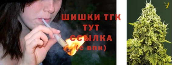 амф Вязьма