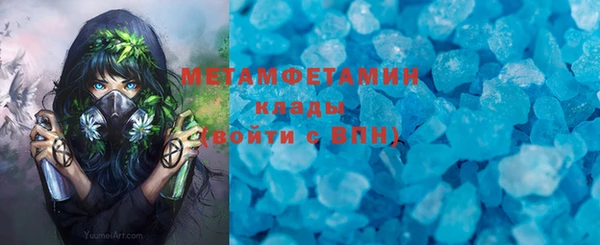 индика Вязники