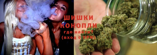 гашик Верея