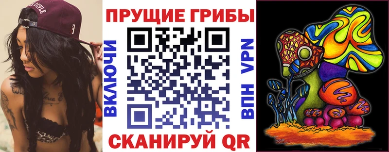 Галлюциногенные грибы мицелий  Зея 